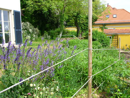 Die Rosen- und Staudenpflanzung auf der St&uuml;tzmauer begrenzt das Grundst&uuml;ck zur Stra&szlig;enseite.